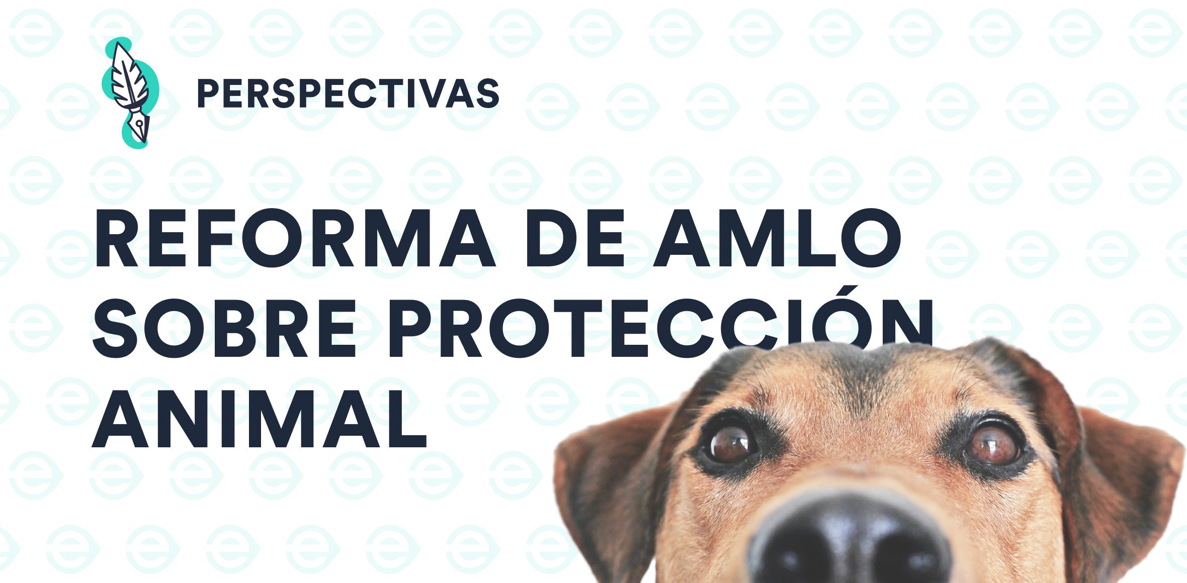 AMLO Reforma Sobre Protección Animal