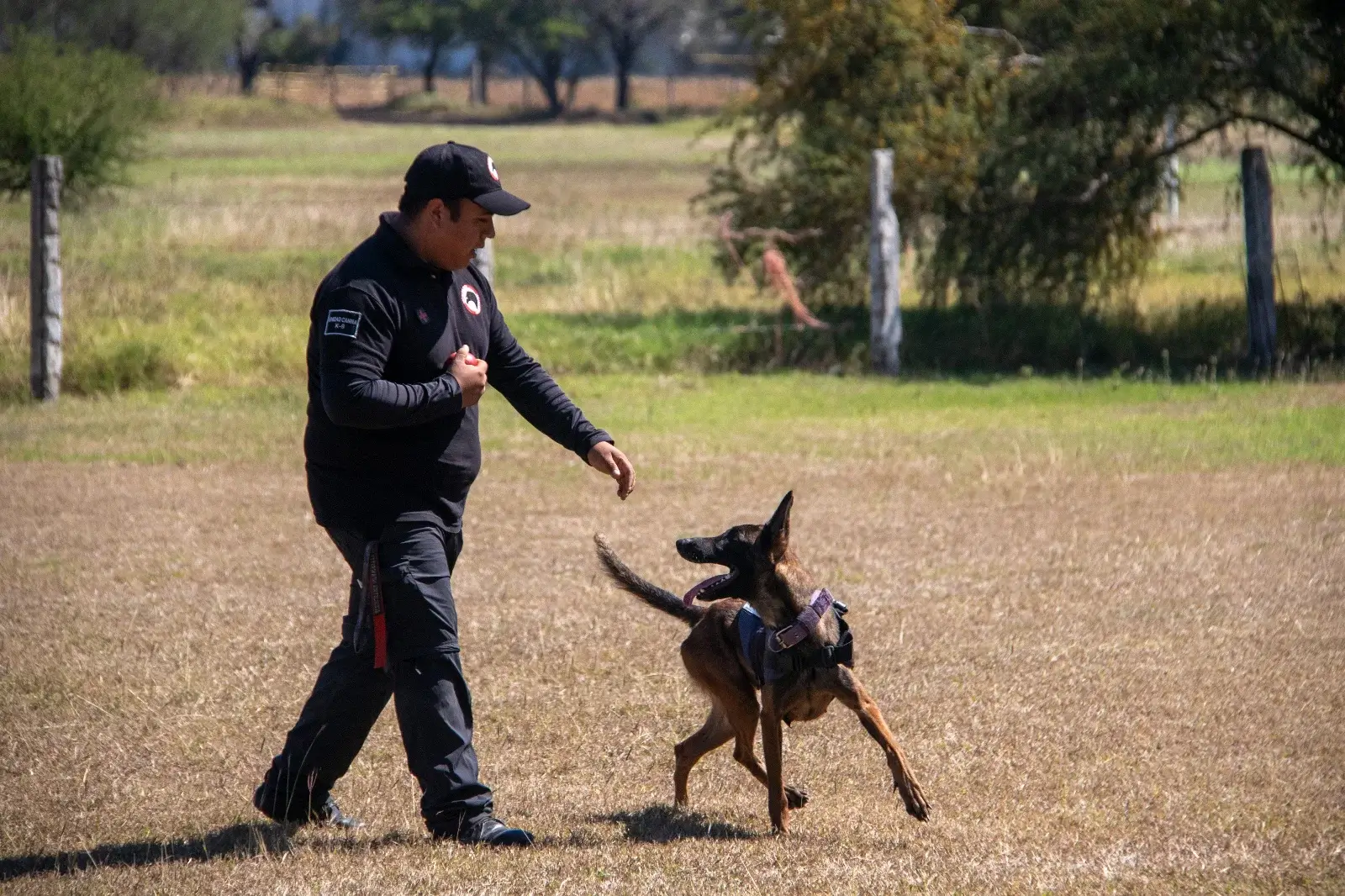 Adiestramiento canino en la UAT