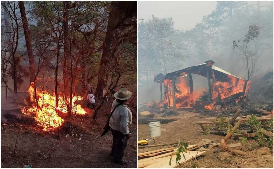 Incendio forestal Sierra de Hidalgo