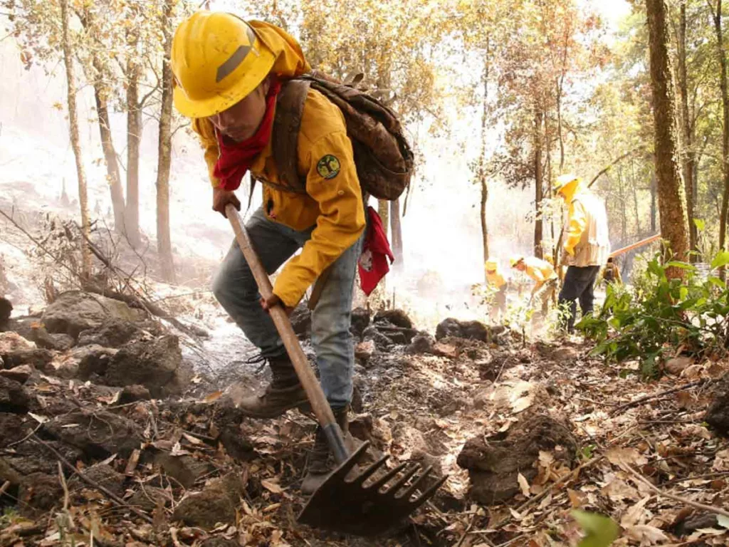 Exitosa extinción de incendios en Tamaulipas