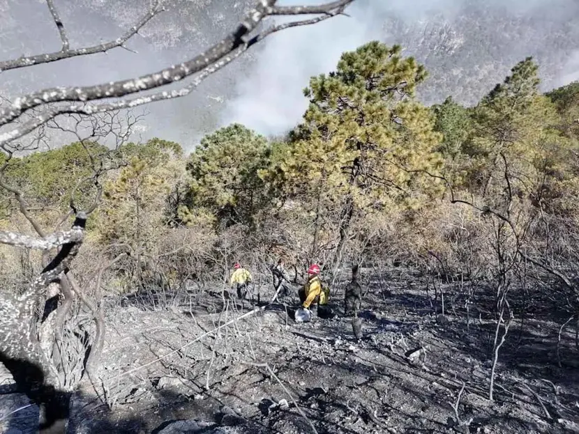 Exitosa extinción de incendios en Tamaulipas