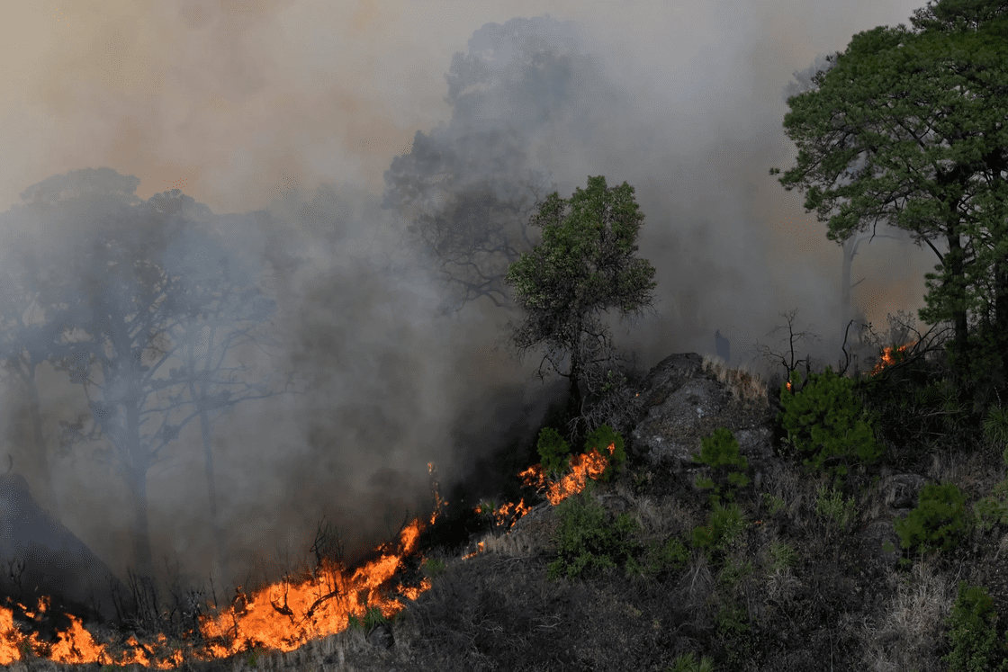 Incendio en el Cañón del Tigre: Guémez en Alerta