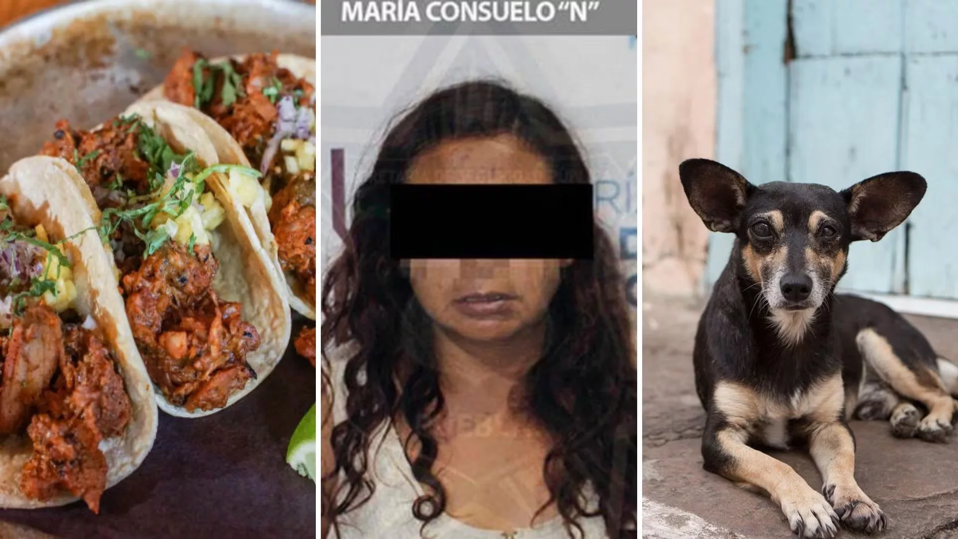 Reaprehenden a María Consuelo "La Mataperros" en Puebla por vender carne de perro