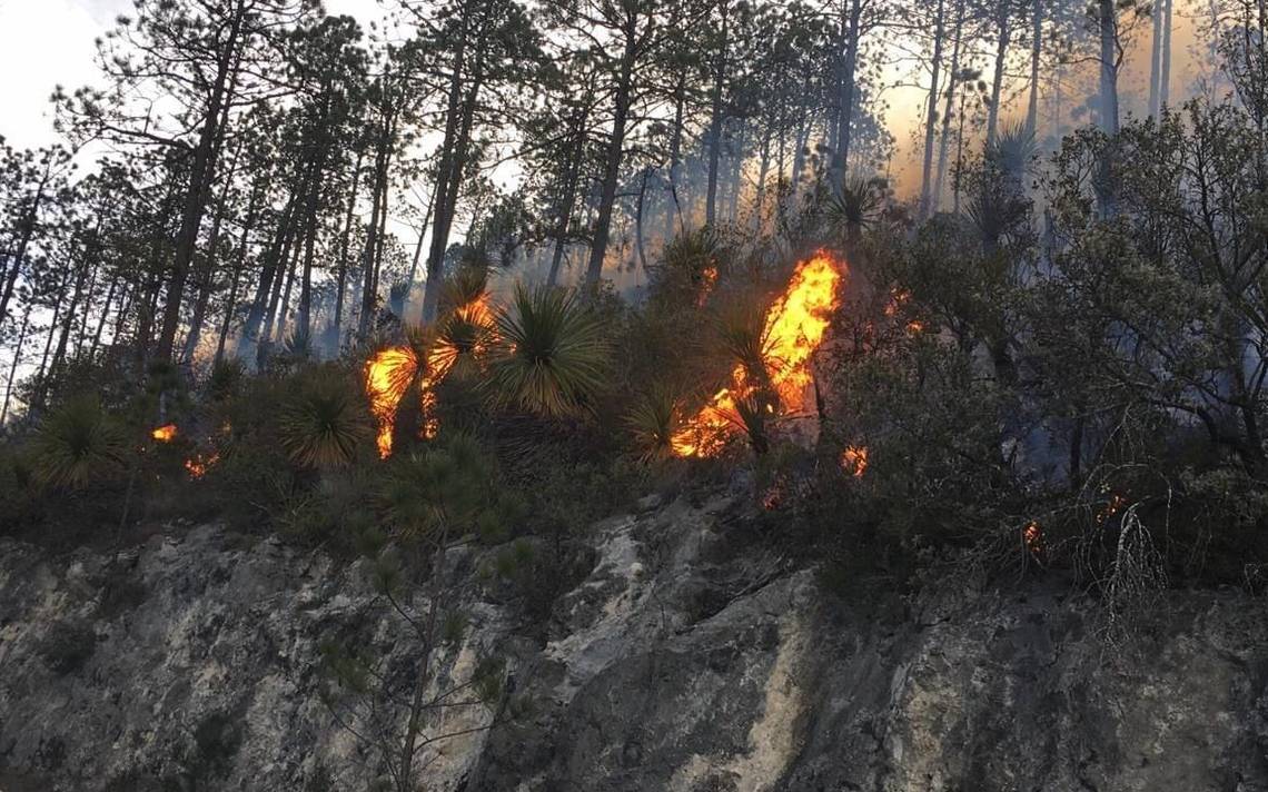 Miquihuana Incendio Forestal