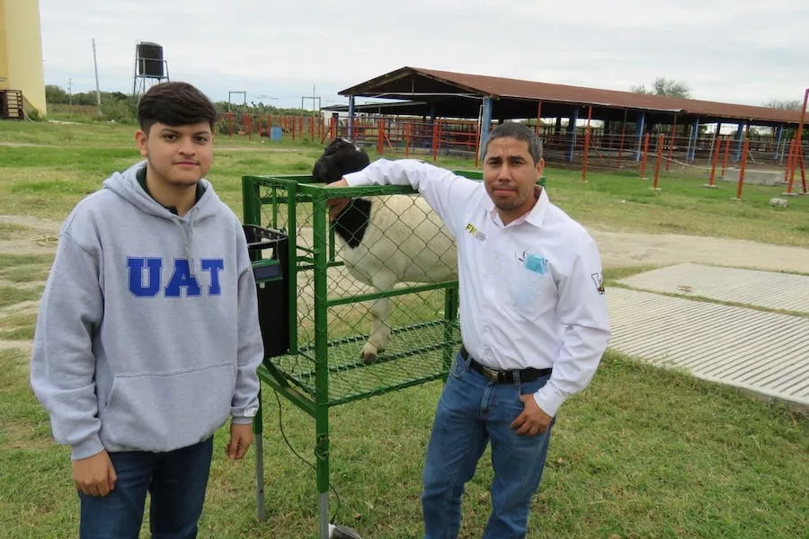 UAT Tecnología en Alimentación de Borregos