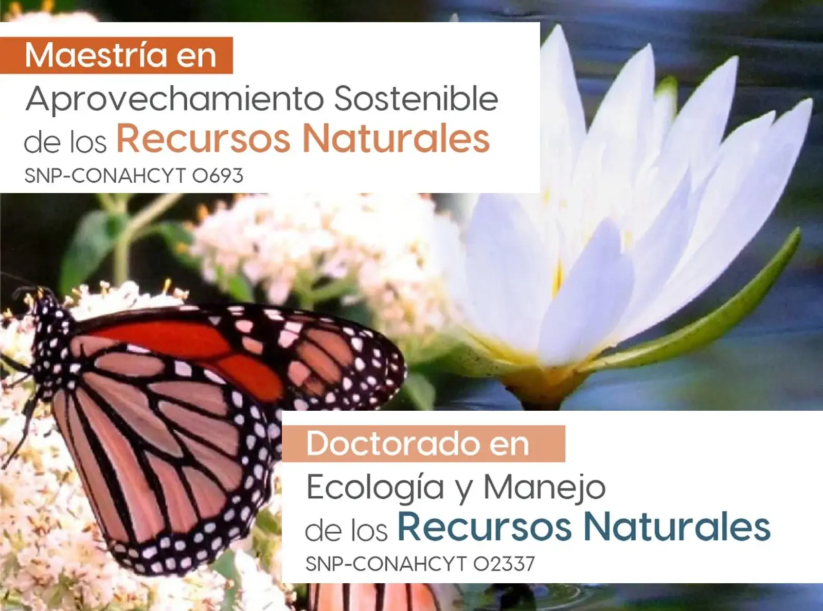 UAT abre posgrados en ecología y recursos naturales