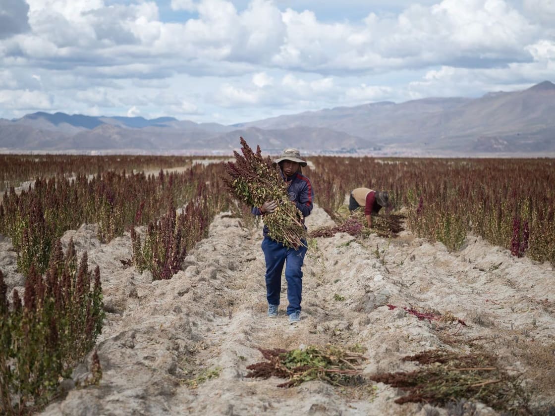 Crisis de agua en los distritos de riego más grandes de Tamaulipas