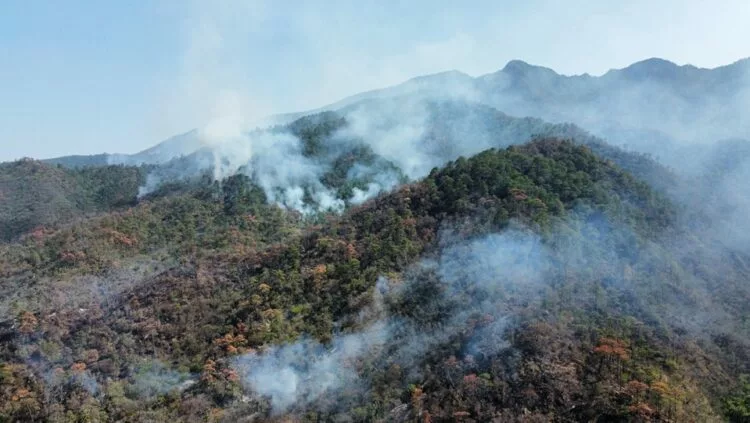 Cañón del Novillo: Incendio forestal extinguido gracias a colaboración institucional