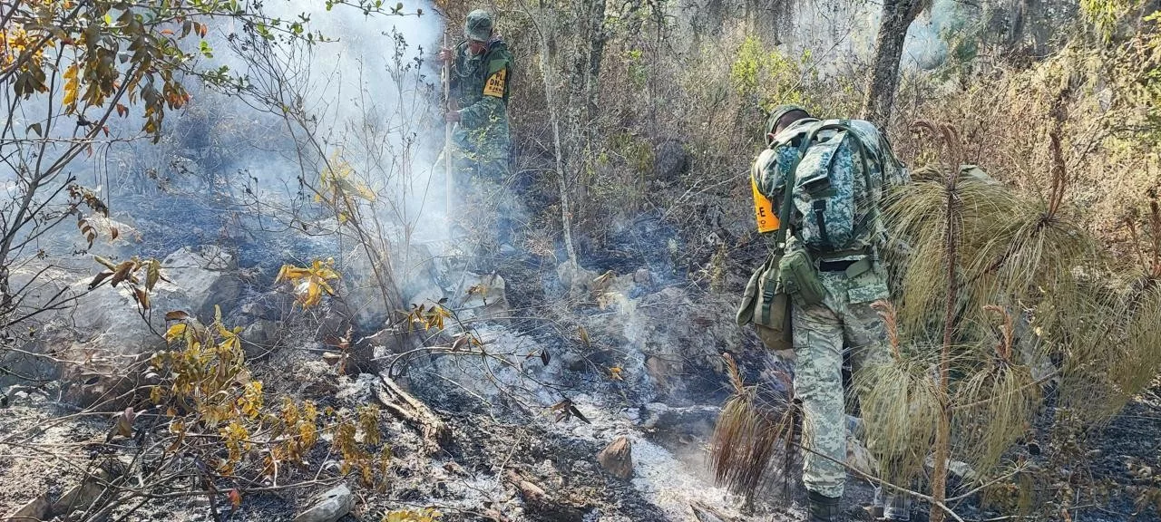 Fuerzas Federales Combaten Incendios en Tula y Jaumave