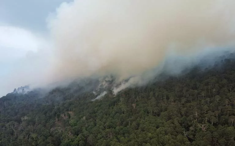 Continúa la Lucha Contra el Incendio en el Cañón del Novillo, Victoria