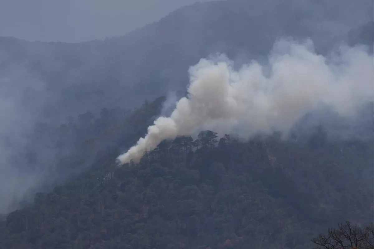 Incendio forestal en el Cañón del Novillo se reactiva en Tamaulipas