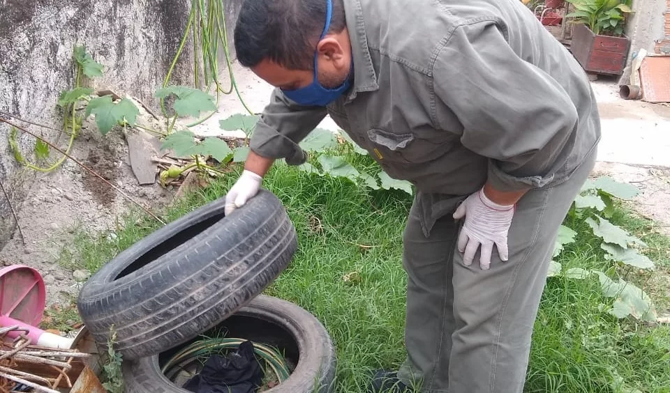 Buscan frenar un brote de dengue en Victoria