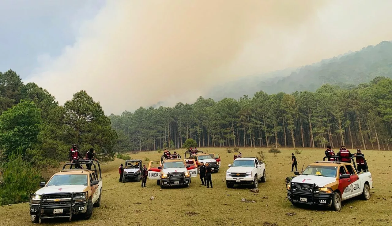 Avances en el Combate al Incendio en el Cañón del Novillo