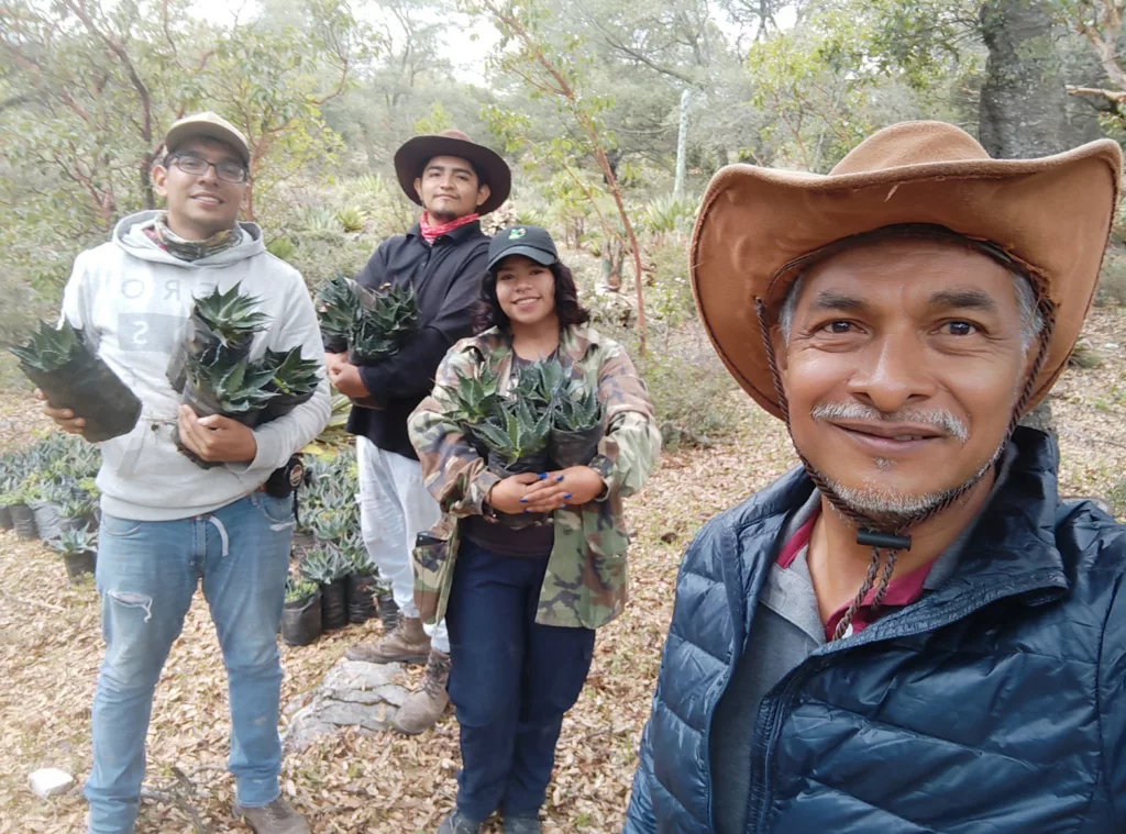 La UAT busca preservar la genética de especies de maguey