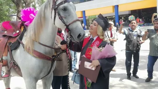 Estefanía recibe un caballo blanco como regalo de graduación