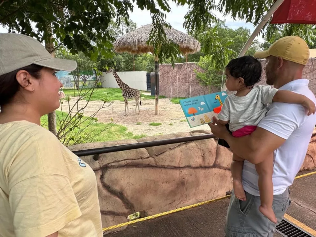 Nueva Jirafa Nace en el Zoológico Tamatán