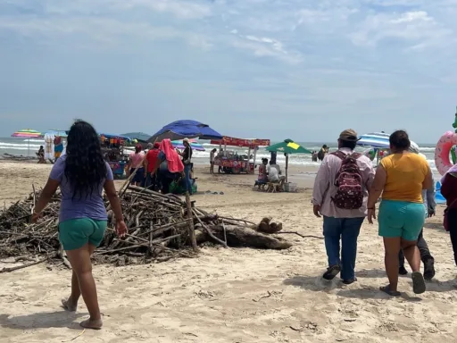 Titánica labor en Miramar: Recogen 5 mil toneladas de lirio y palizada