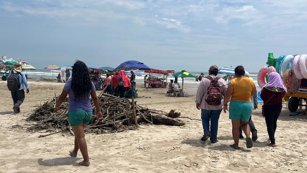 Titánica labor en Miramar: Recogen 5 mil toneladas de lirio y palizada