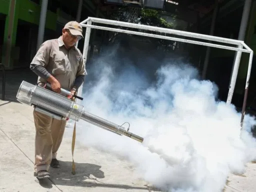 Alerta por Dengue: Fumigarán Todas las Escuelas en Tamaulipas