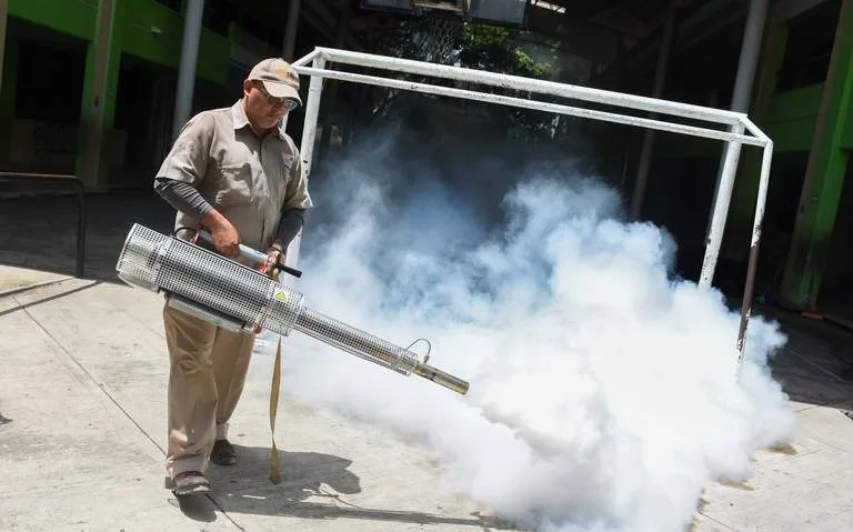 Alerta por Dengue: Fumigarán Todas las Escuelas en Tamaulipas