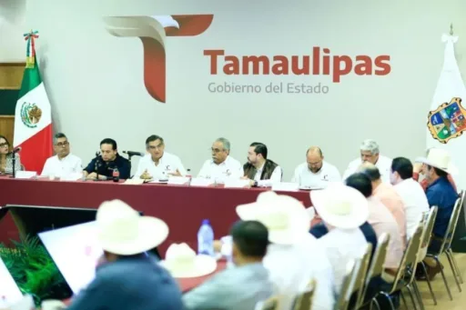 Américo Villarreal Anuncia Apoyo Adicional para Productores de Sorgo en Tamaulipas