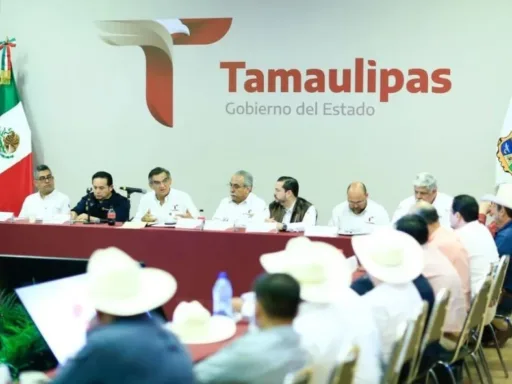 Américo Villarreal Anuncia Apoyo Adicional para Productores de Sorgo en Tamaulipas