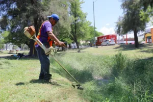 Municipio de Victoria continúa con acciones permanentes de mejora urbana