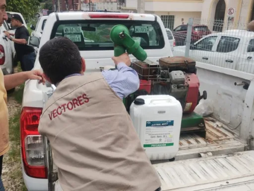 Tamaulipas en alerta por aumento de casos de dengue: niños y ancianos, los más afectados