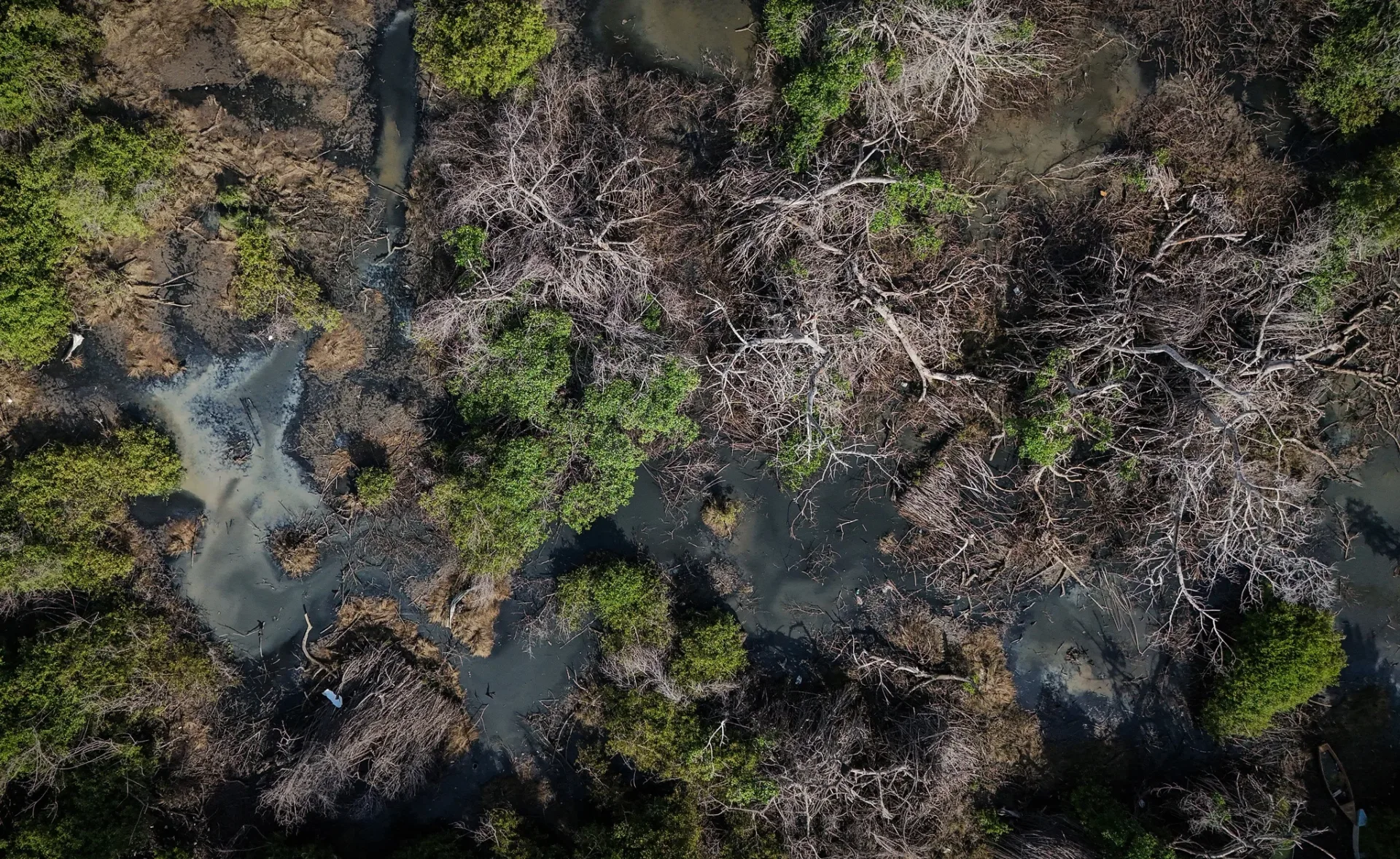 La contaminación de las lagunas de Acapulco empeora tras el paso de Otis