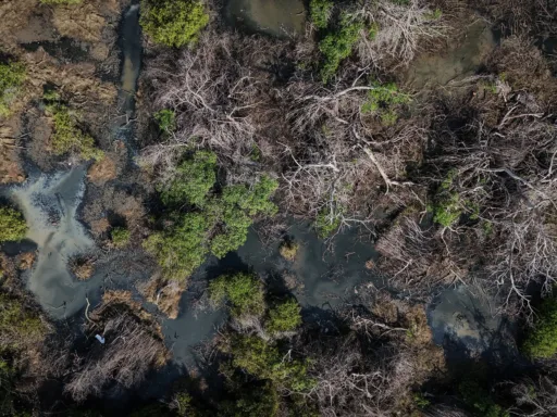 La contaminación de las lagunas de Acapulco empeora tras el paso de Otis