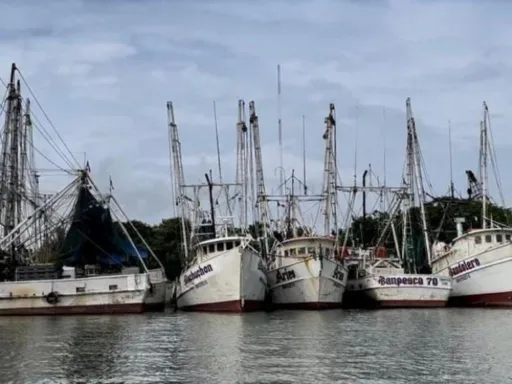 Flota camaronera de Tamaulipas, la más grande del Golfo de México