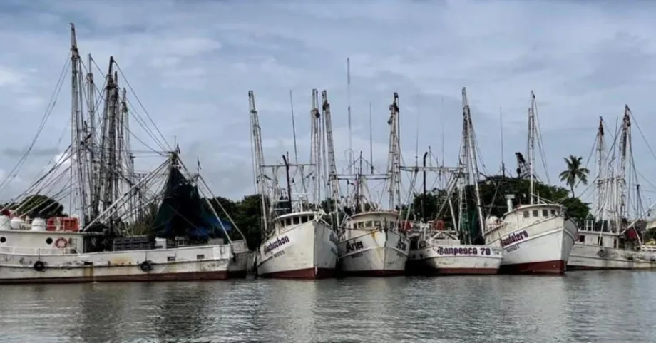 Flota camaronera de Tamaulipas, la más grande del Golfo de México