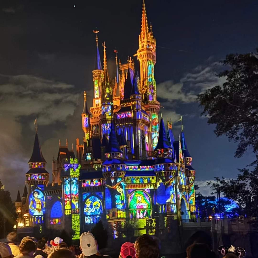 Turistas entran en pánico por falsa alarma de tirador en Disney