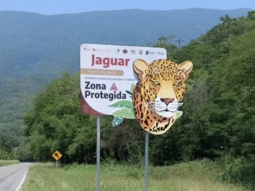 Nuevas señales en carreteras de Tamaulipas: Protegiendo la fauna silvestre