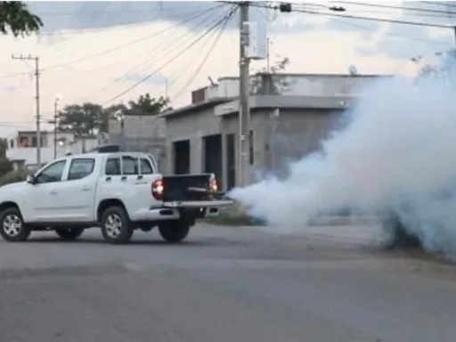 Tamaulipas supera los 800 casos de dengue, se mantiene alerta epidemiológica