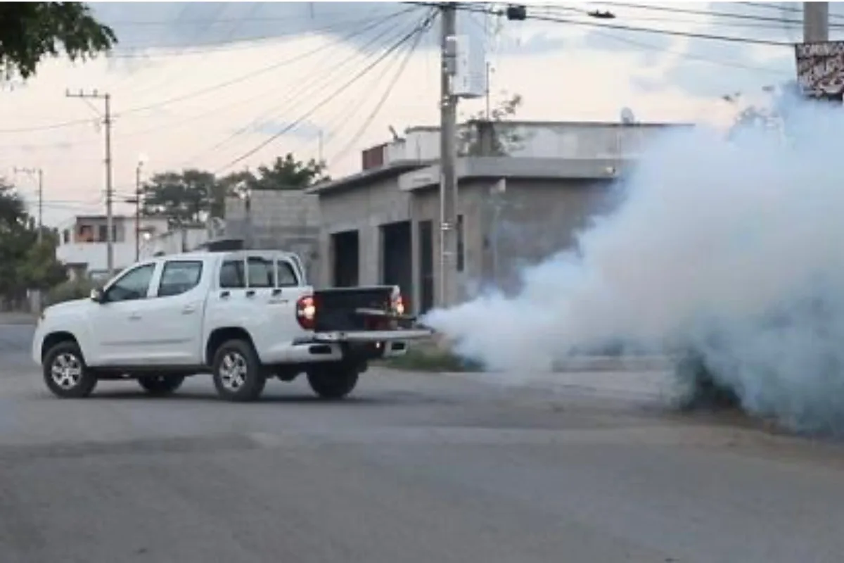 Tamaulipas supera los 800 casos de dengue, se mantiene alerta epidemiológica