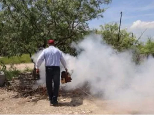 Se reportan 975 casos de dengue en Tamaulipas; activan Brigada Emergente