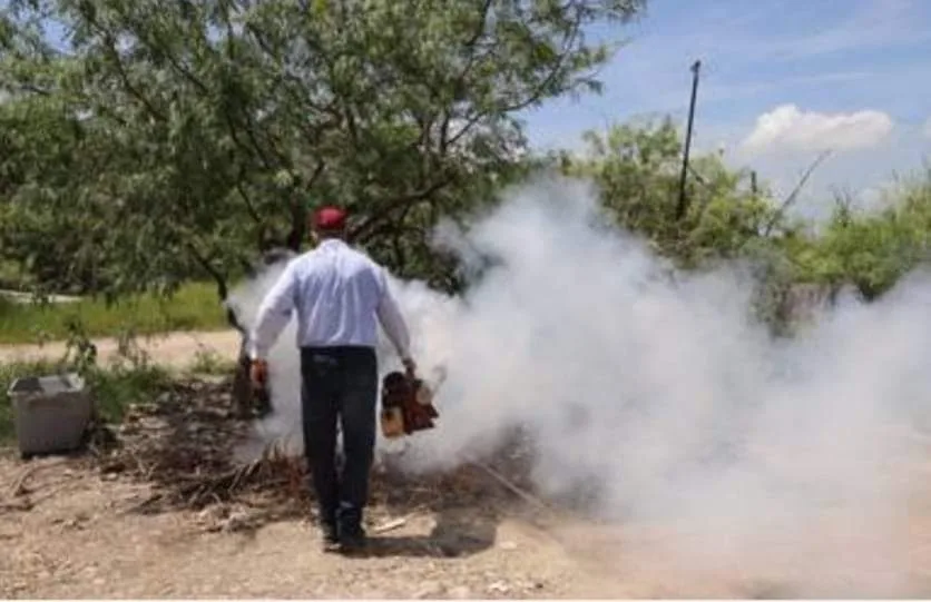 Se reportan 975 casos de dengue en Tamaulipas; activan Brigada Emergente