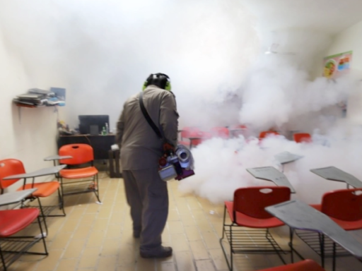 Fumigarán escuelas en riesgo de dengue en Victoria