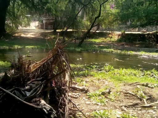 Delincuentes se Ocultan en el Río San Marcos para Asaltar