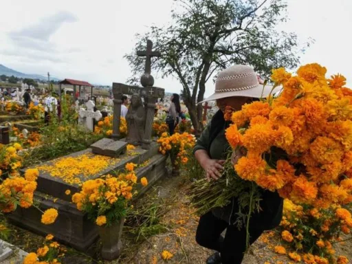 Flores tradicionales de Día de Muertos: significados y simbolismo