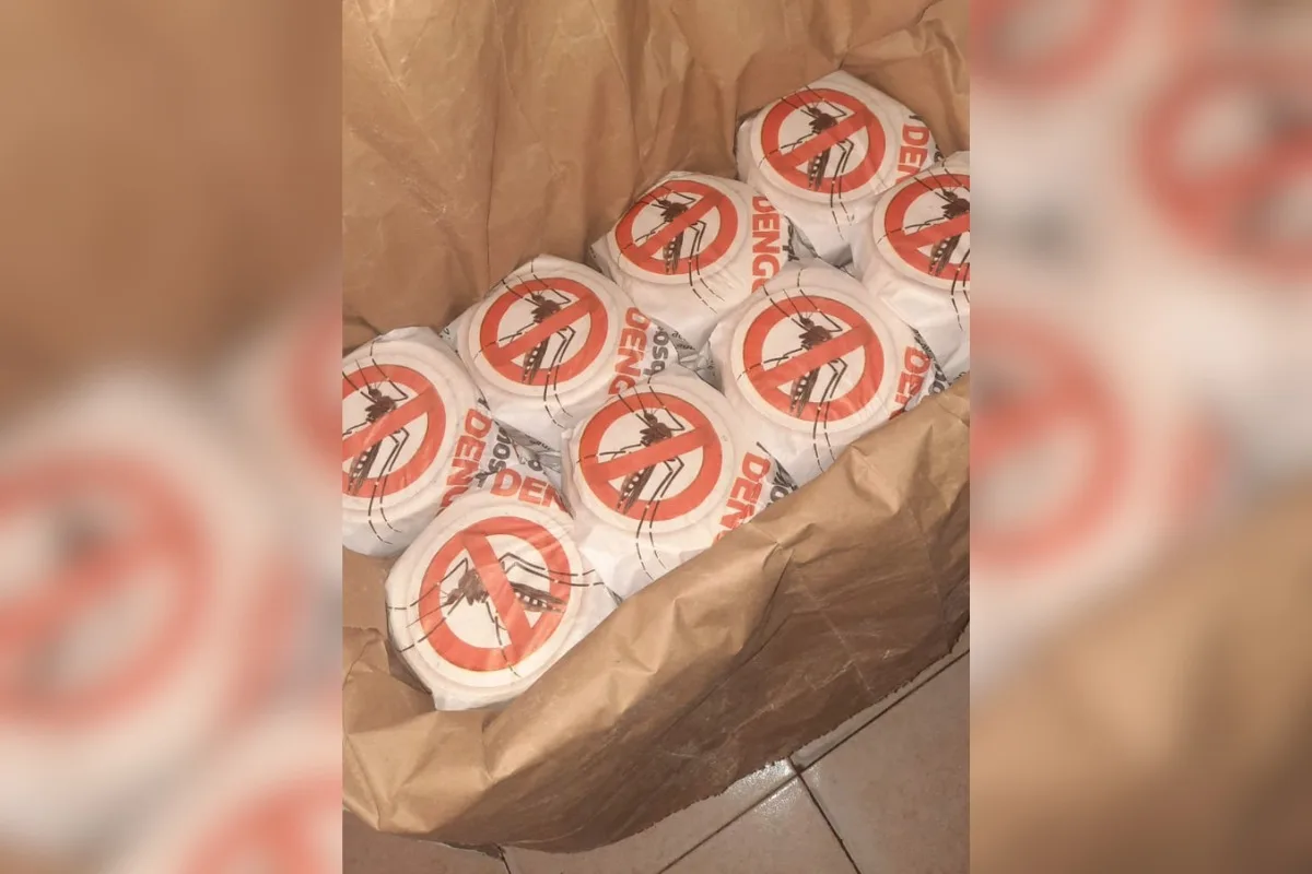 Tamaulipas usa envoltorios de tortillas para combatir el dengue