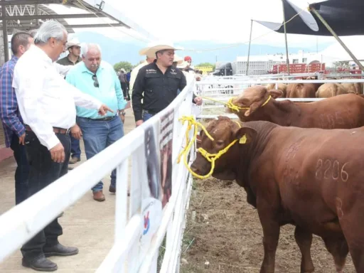 Fortalecen Sector Ganadero con Evento de Mejoramiento Genético en la Feria Tamaulipas 2024