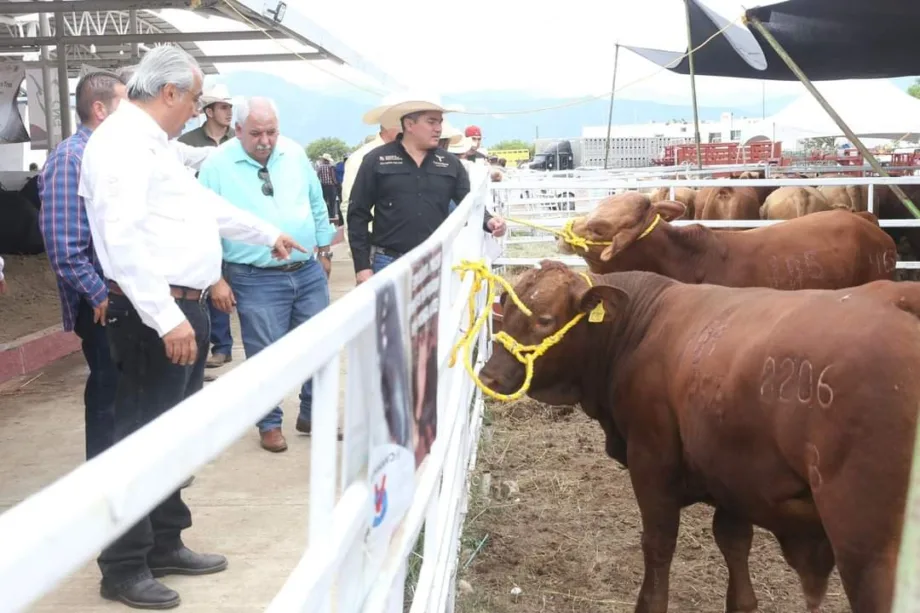 Fortalecen Sector Ganadero con Evento de Mejoramiento Genético en la Feria Tamaulipas 2024