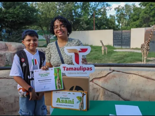 “Asani”, nombre ganador para el bebé jirafa del Zoológico Tamatán