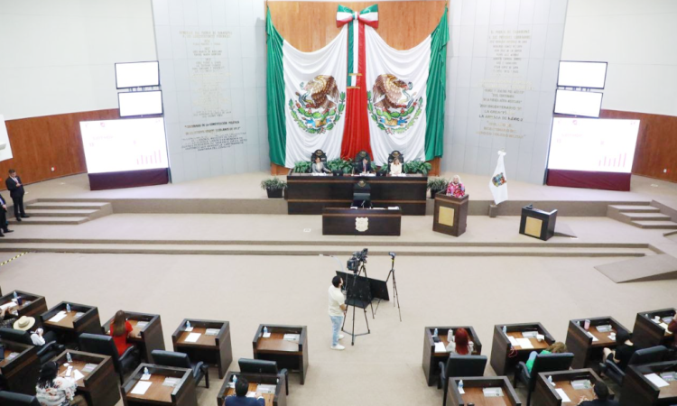 Promueven ley para fortalecer educación ambiental y respeto animal en Tamaulipas