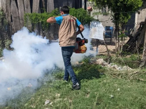 SST mantiene acciones contra el dengue en Tamaulipas