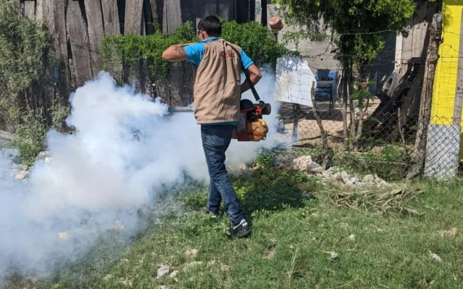 SST mantiene acciones contra el dengue en Tamaulipas