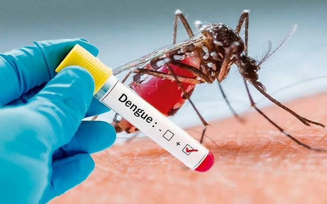 El dengue continúa siendo una preocupación en Tamaulipas