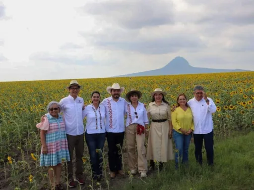 ¡Arrancó la gran temporada de Girasoles 2024 en González, Tamaulipas!